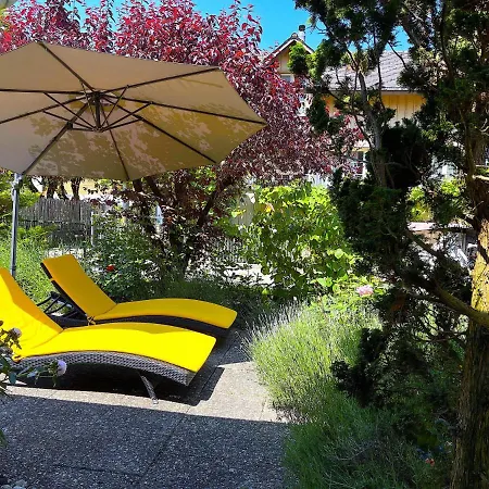 Thun Alps Scenic Views And Concierge By Swisshut