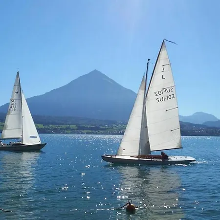 Chalet Lake Thun Alps Scenic Views And Concierge By Swisshut *