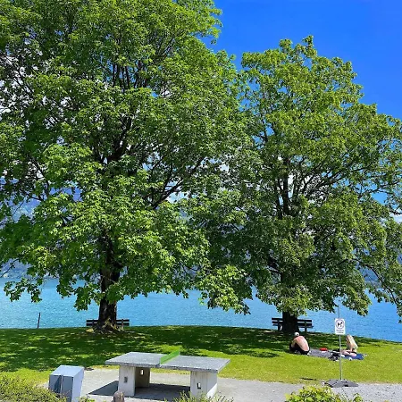 Lake Thun Alps Scenic Views And Concierge By Swisshut * Därligen