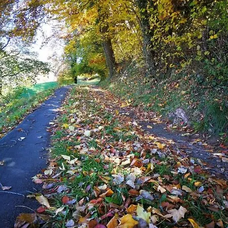 Lake Thun Alps Scenic Views And Concierge By Swisshut Chalet *