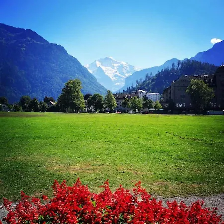 Lake Thun Alps Scenic Views And Concierge By Swisshut * Därligen