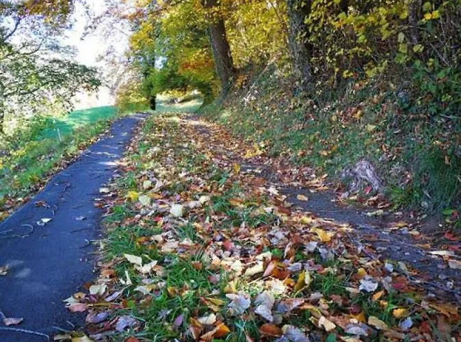 Thun Alps Scenic Views And Concierge By Swisshut Alpehytte *