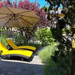 Thun Alps Scenic Views And Concierge By Swisshut