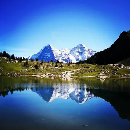 Swisshut Stunning Views Alps - Erli Chalet *