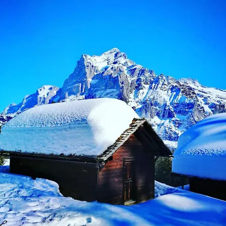 Swisshut Stunning Views Alps - Erli